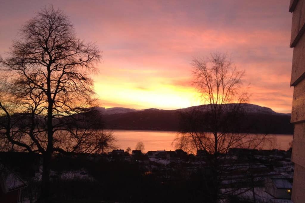 Balestrand Fjordapartments Holmen 19A Екстер'єр фото